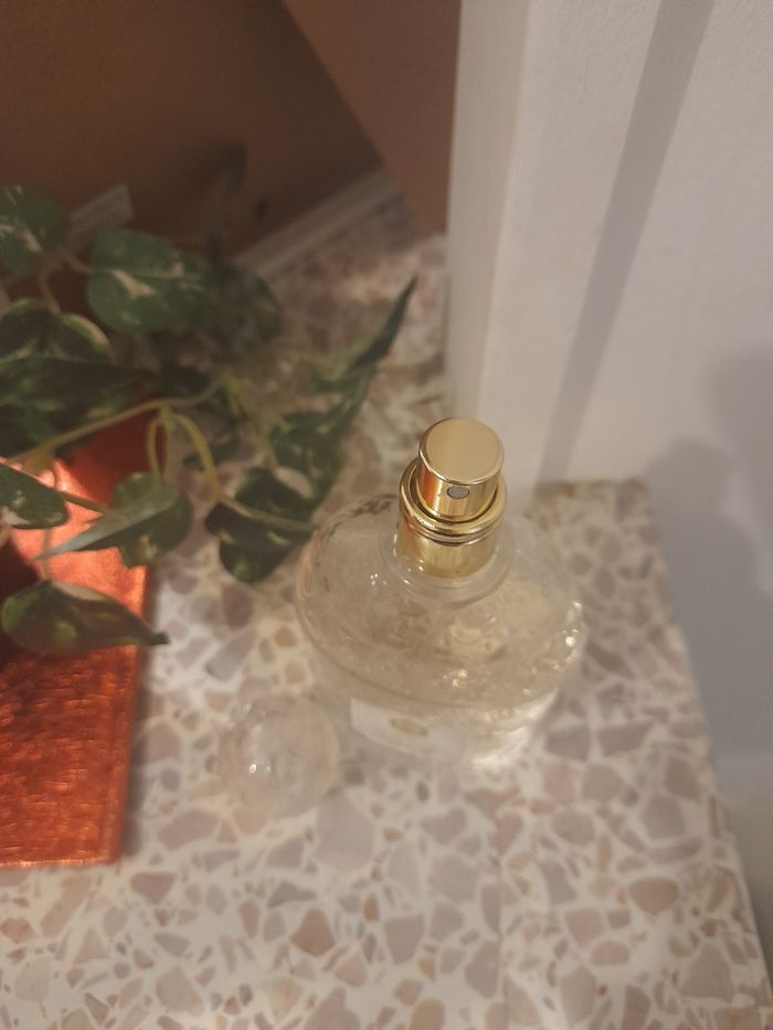 Parfum - photo numéro 5