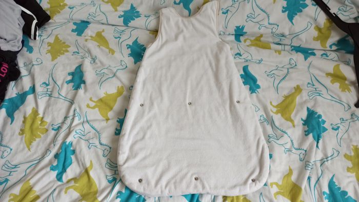 Gigoteuse 0-6 mois - photo numéro 5