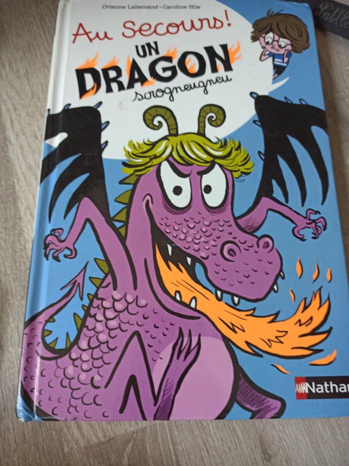 Livre au secours un dragon scrogneugneu