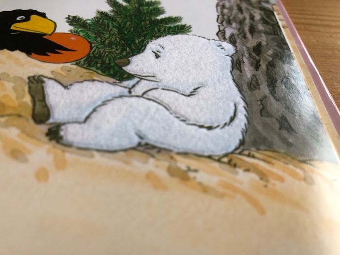 Livre Flocon a du chagrin - photo numéro 4