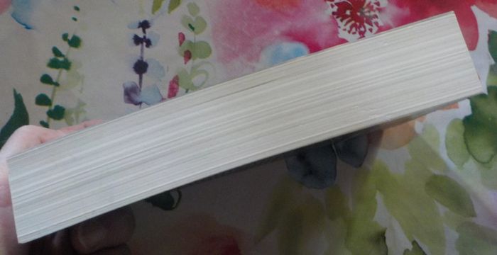 Amères désillusions de Jérôme Bucy Ed. Liv'Poche Suspense - photo numéro 4