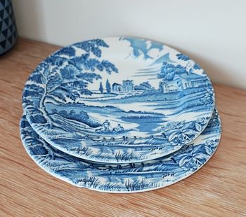 🌿 2 assiettes décoratives en porcelaine anglaise - English Style 🌿