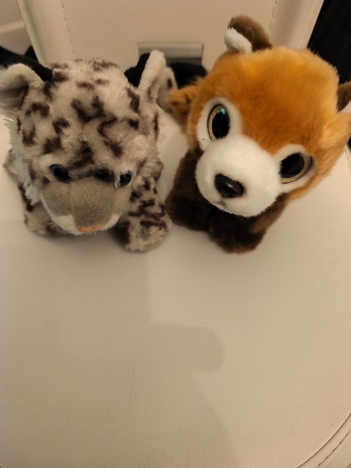 Peluches - photo numéro 3