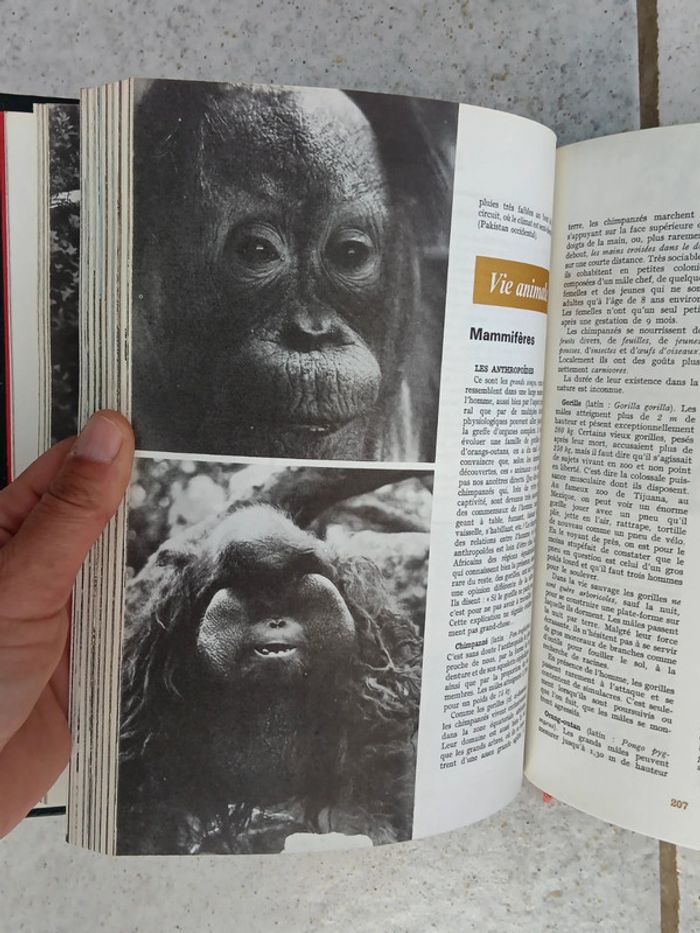Encyclopédie universelle La nature livre de collection - photo numéro 4