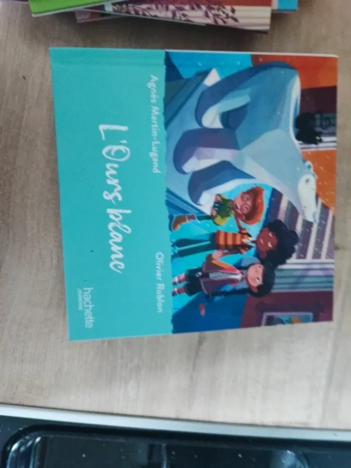 Livre MacDo - photo numéro 6