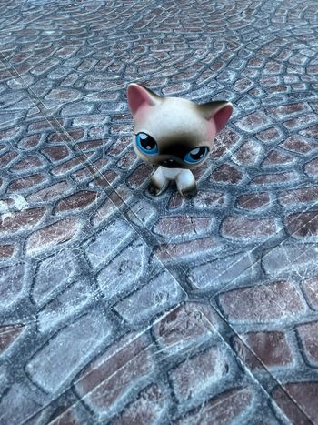 Petshop chat 🐱🐶 Vintage collectors
