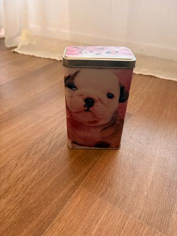 Boîte bouledogues anglais