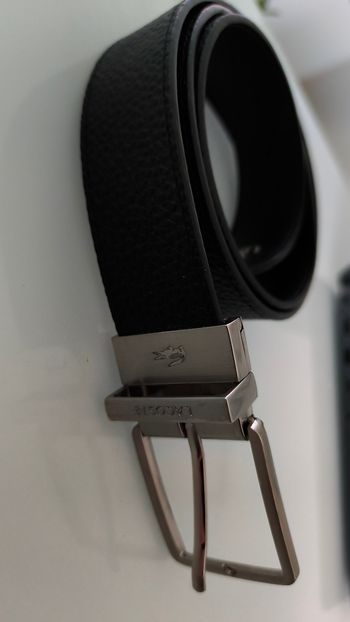 Ceinture Lacoste 