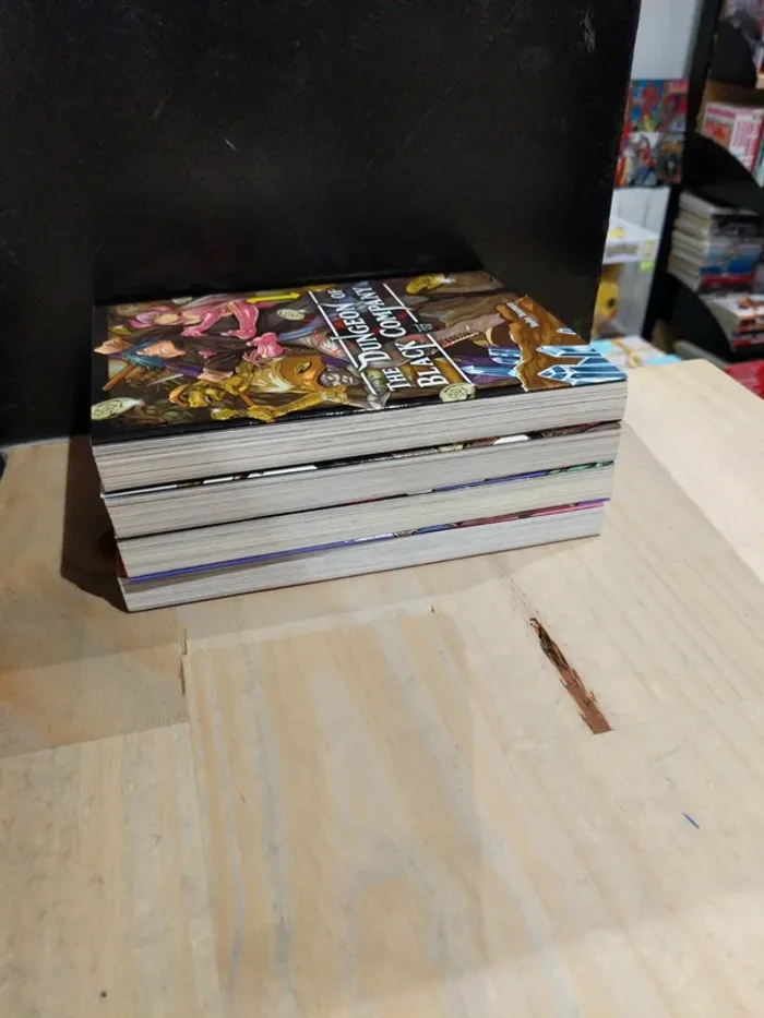 The Dungeon of Black Company – Tomes 1 à 4 - photo numéro 3