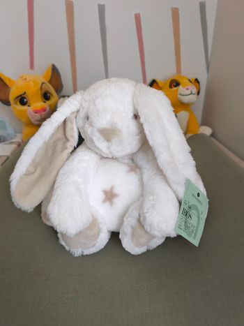 Lapin avec couverture 