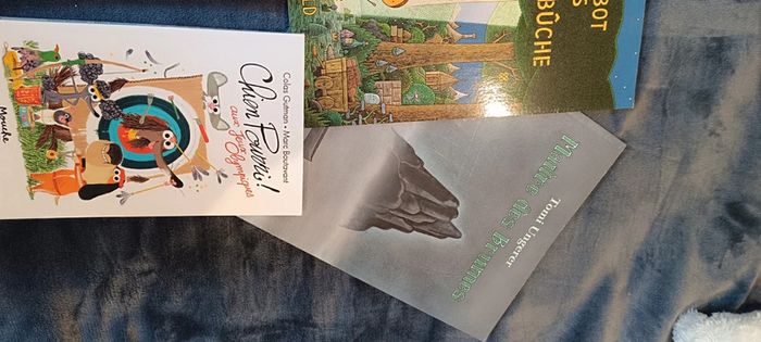 Lot de 5 livres école des loisirs - photo numéro 3