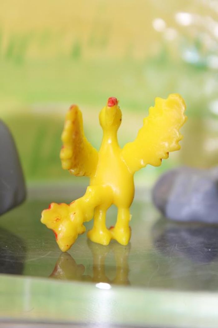 Pokemon Sulfura - photo numéro 4