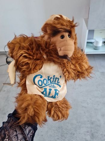 Alf cuisinier