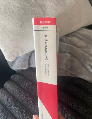 Droit judiciaire privé