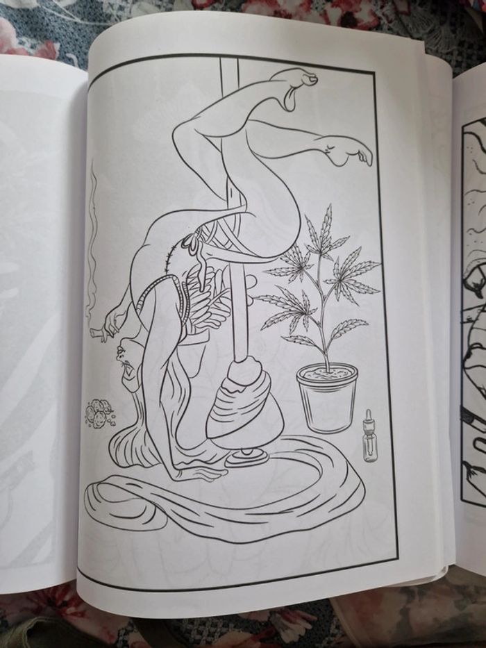 Coloriages pour adulte - photo numéro 7