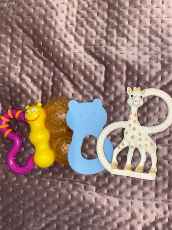 Lot anneaux dentition