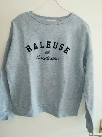Pull gris "Râleuse et boudeuse", Cache cache, taille L, très bon état