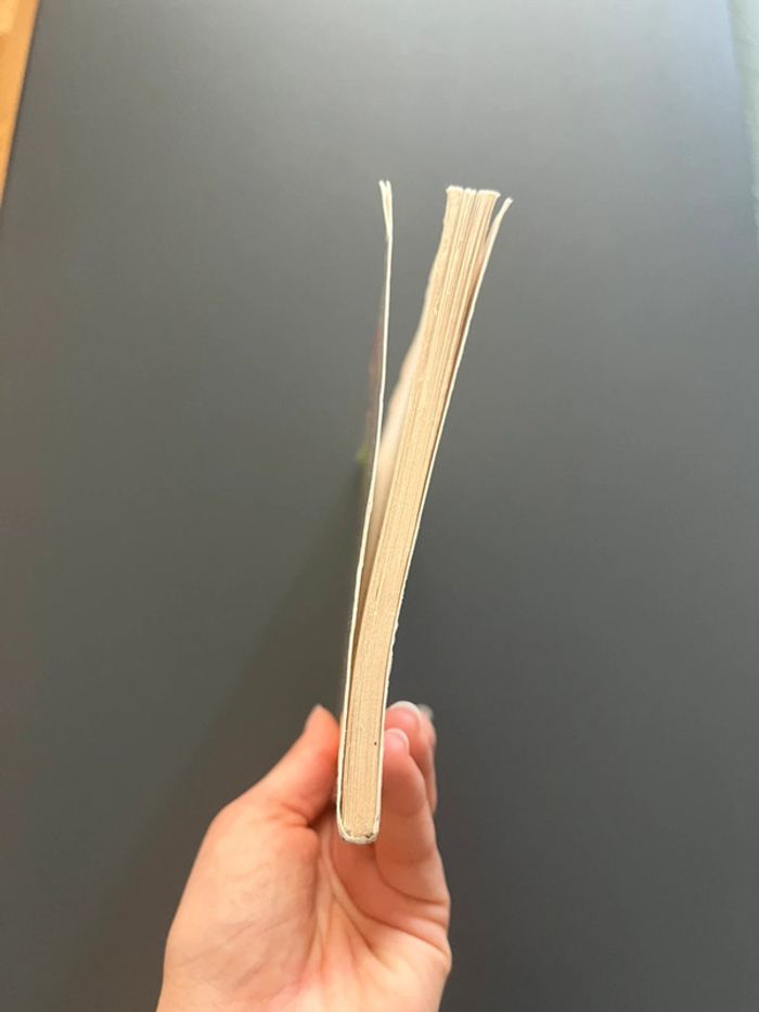 Livre œuvre Rhinocéros Ionesco - photo numéro 11