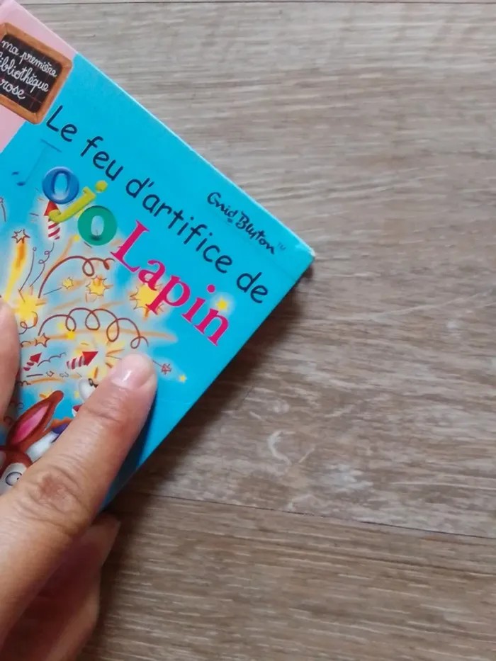 Livre jojo lapin - photo numéro 3