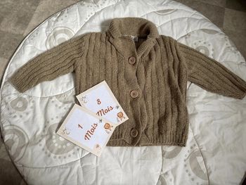 gilet