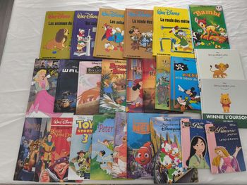 Lot livres disney