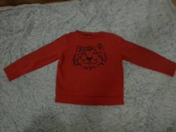 Pull Tigre