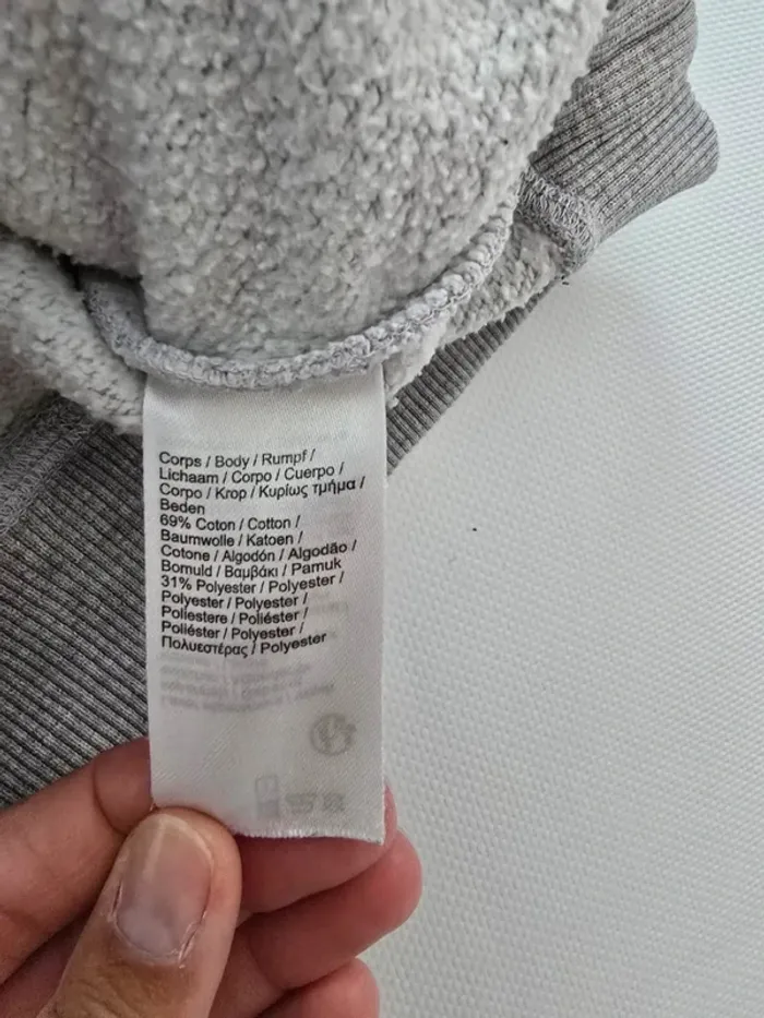 Sweat lacoste gris - photo numéro 4