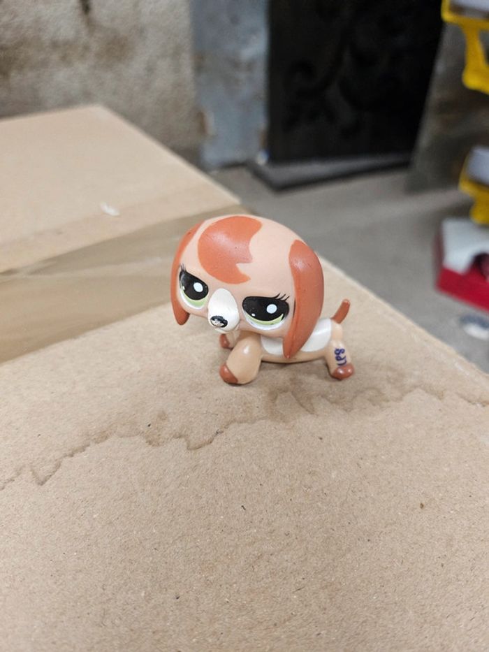 Pet shop chien 2035