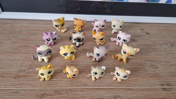 Petshop