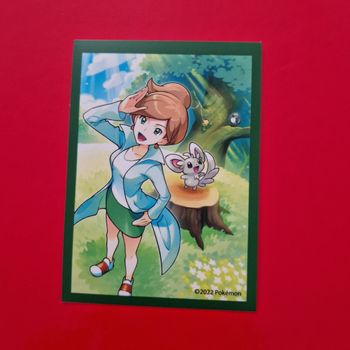 1 sleeve pokemon
