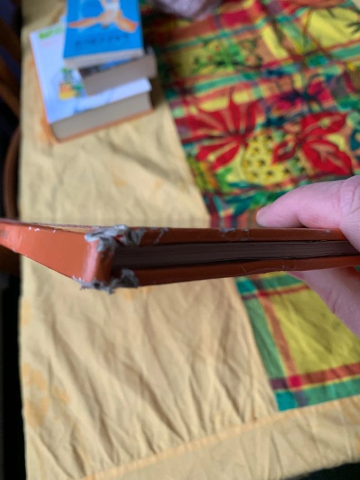 Les 101 dalmatiens - photo numéro 6