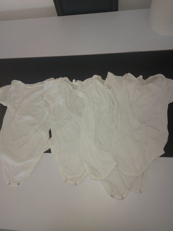 Bodies