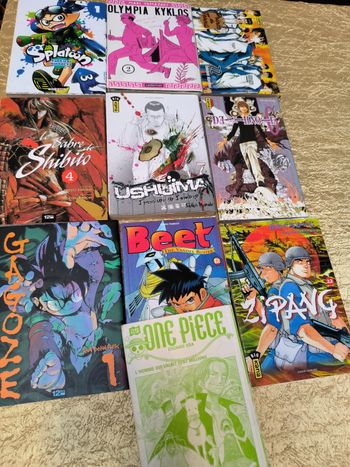 Livre mangas
