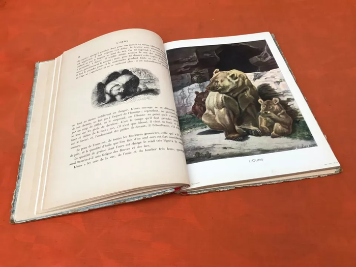 Les Animaux Sauvages et Domestiques (Mai 1929) Garnier Frères Paris - photo numéro 8