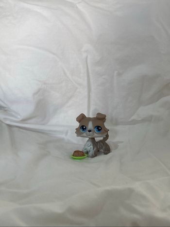 lps colley