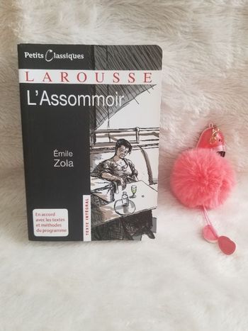 Livre l'assommoir