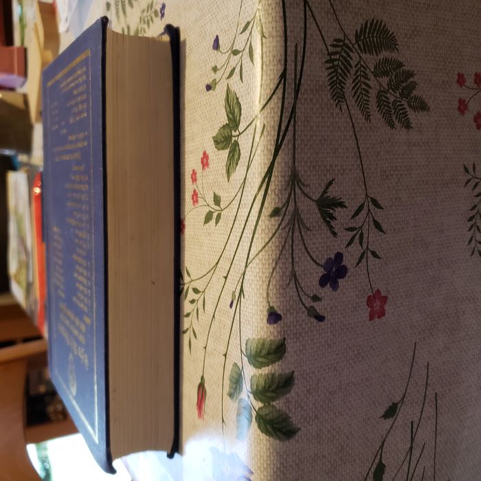 Dictionnaire Hindi - photo numéro 4