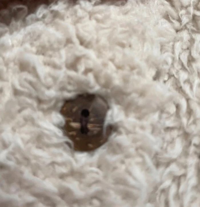 Gilet doux Bouchara ours 12 mois - photo numéro 3