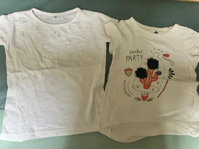 Lot de 11 tee-shirts MC taille 24 mois - photo numéro 17