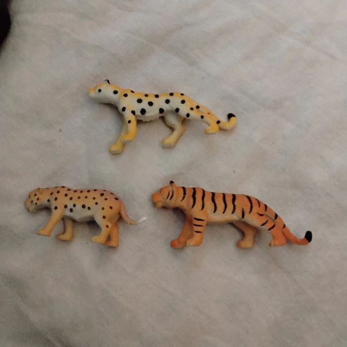 Animaux sauvages - photo numéro 2