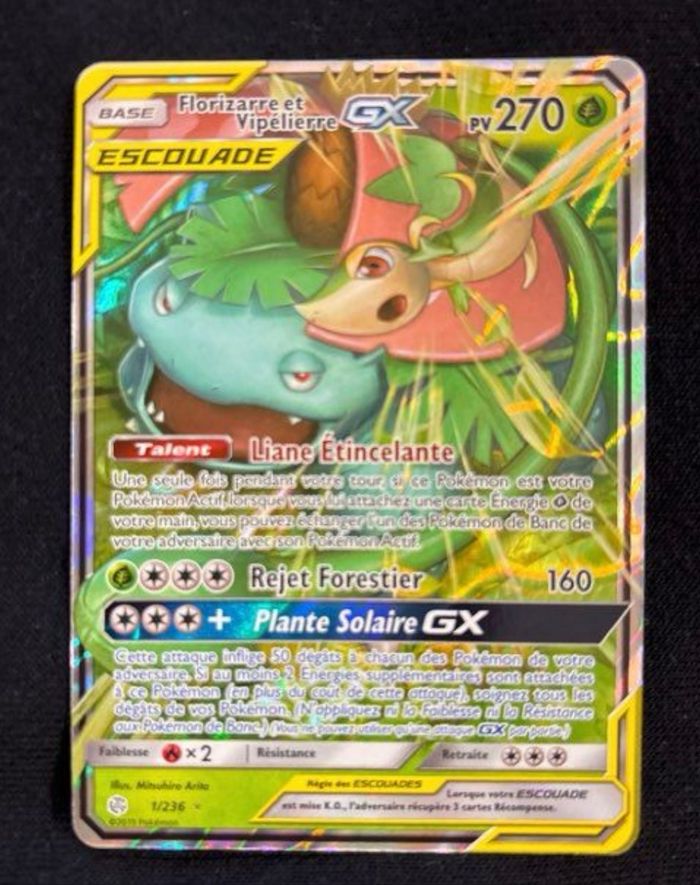 Carte Pokémon Florizzare et Vipeliére