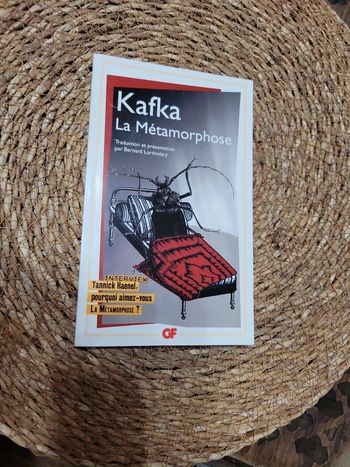 Kafka. La métamorphose.