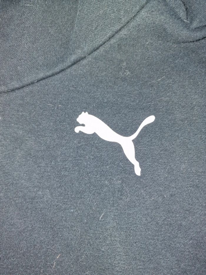 Pull puma - photo numéro 2