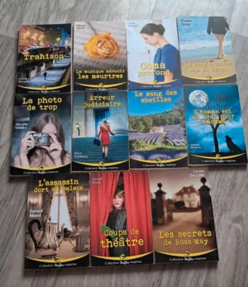 Lot de 11 livres nous deux suspens