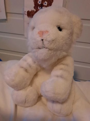 Petit lionceau blanc tout doux