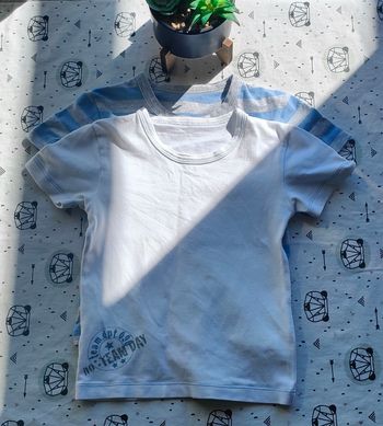 Lot de tee-shirt de taille 24 mois/2 ans