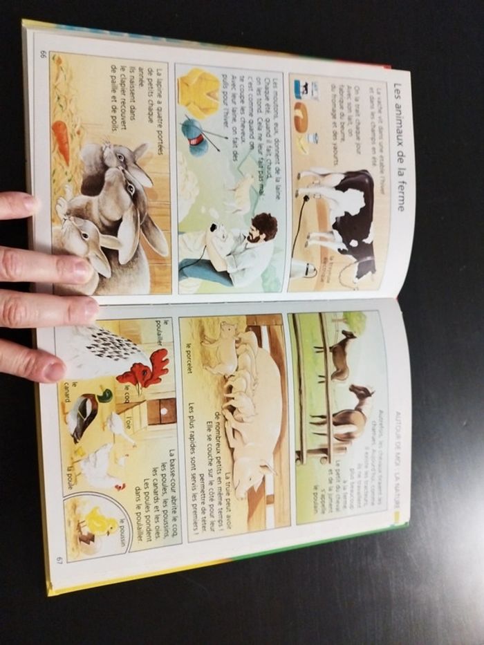 Méga poussin encyclopédie - photo numéro 3