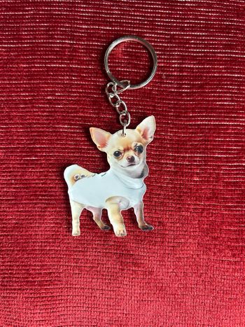 🐶 Porte-Clés Chien Chihuahua Mignon avec Pull