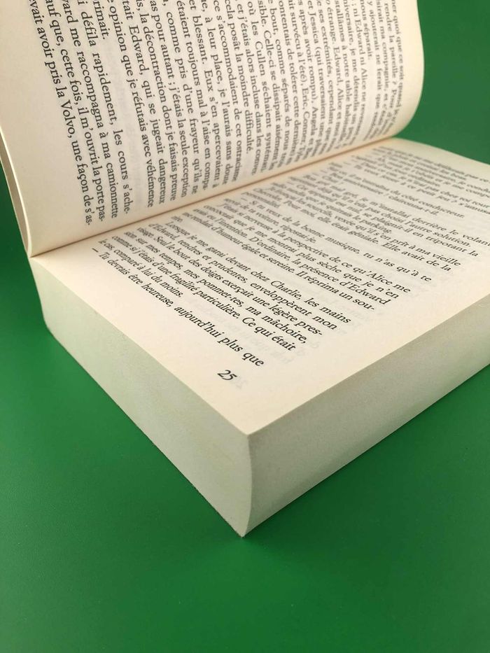 Tentation - Stephenie Meyer - photo numéro 3