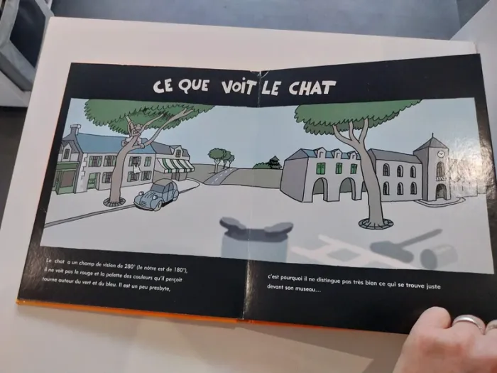 Badaboum - photo numéro 3